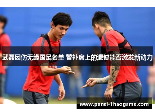 武磊因伤无缘国足名单 替补席上的遗憾能否激发新动力 武磊因伤无缘国足名单 替补席上的遗憾能否激发新动力